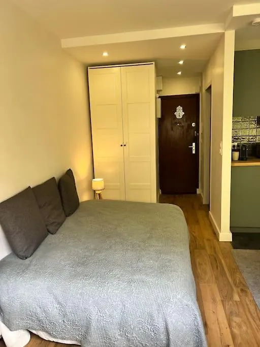 Studio Buttes Chaumont Refait A Neuf Paris